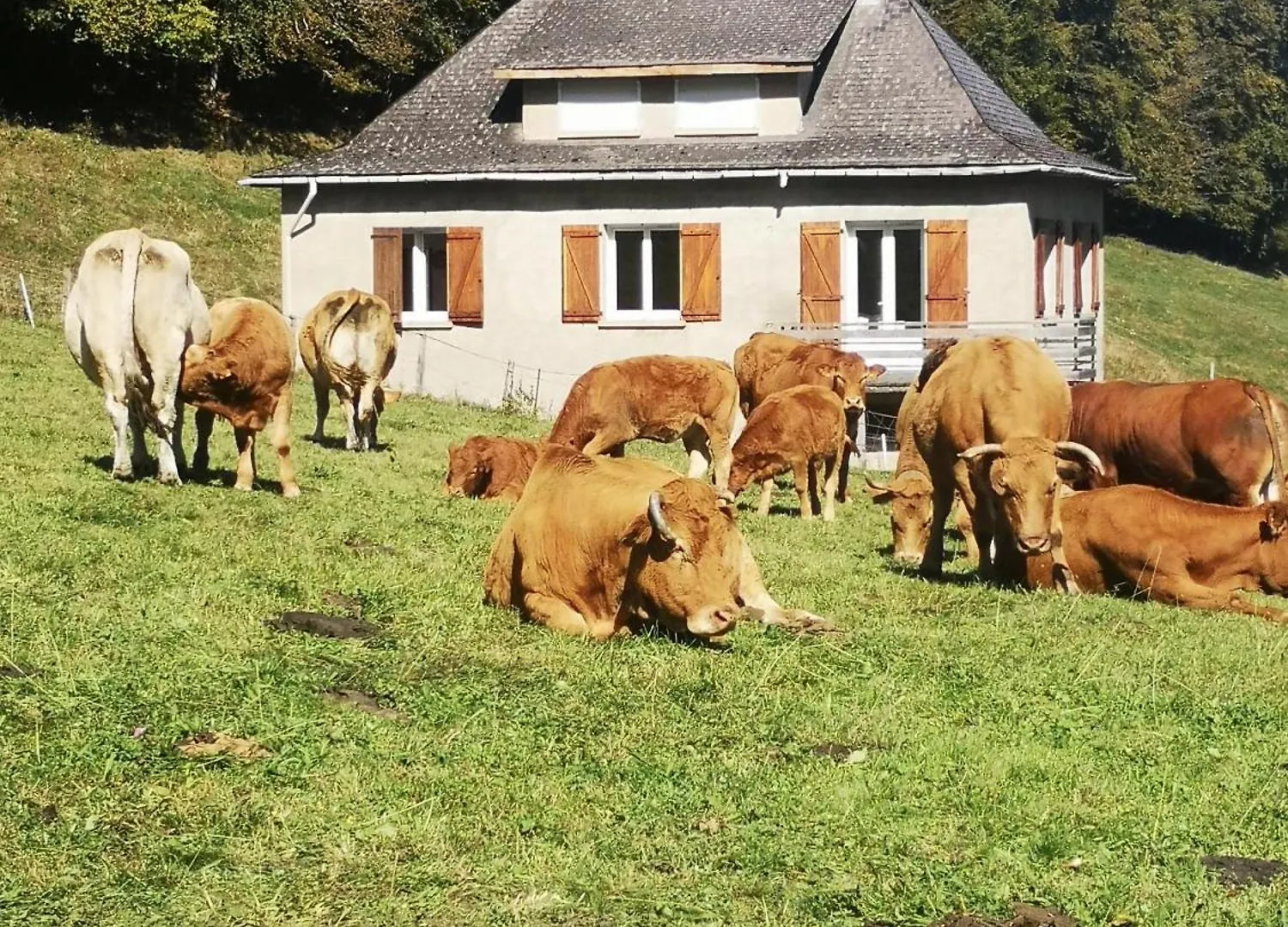 Tourmalet Villa Campan